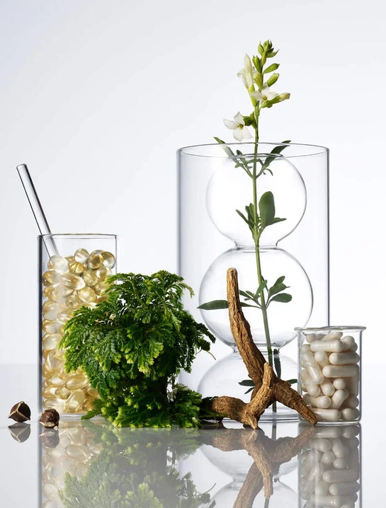 Trending: Ingredients for Your Best Skin & Hair